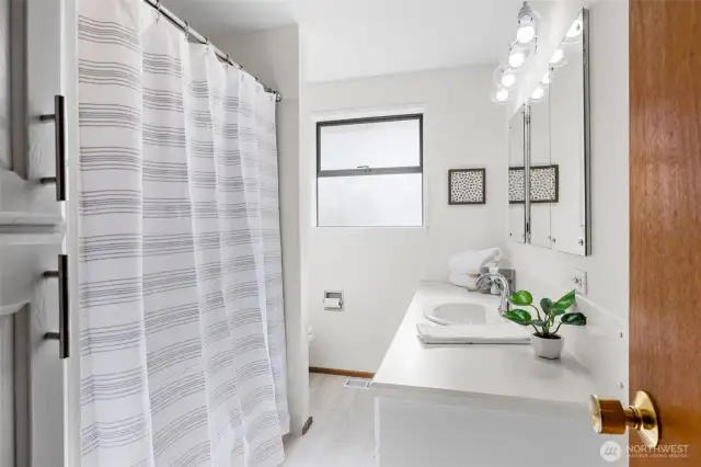 Main full bath with new sink, faucet, toilet & lighting