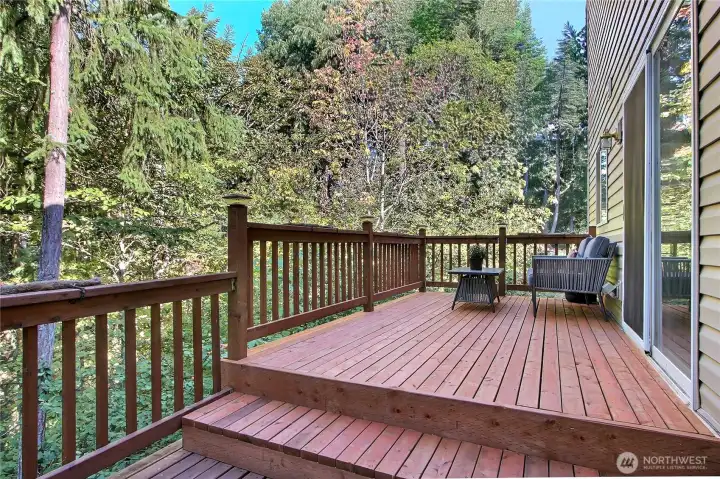 View of your brand new side deck, patio doors lead to your kitchen/living room area. Views views views! Lake and territorial from every angle out here.