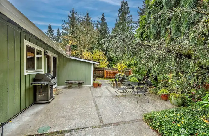 Another View Of The Backyard Patio Area Very Private.