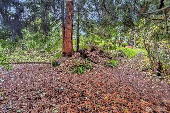 Continue Down The Backyard Walking Trails To Lower Area.