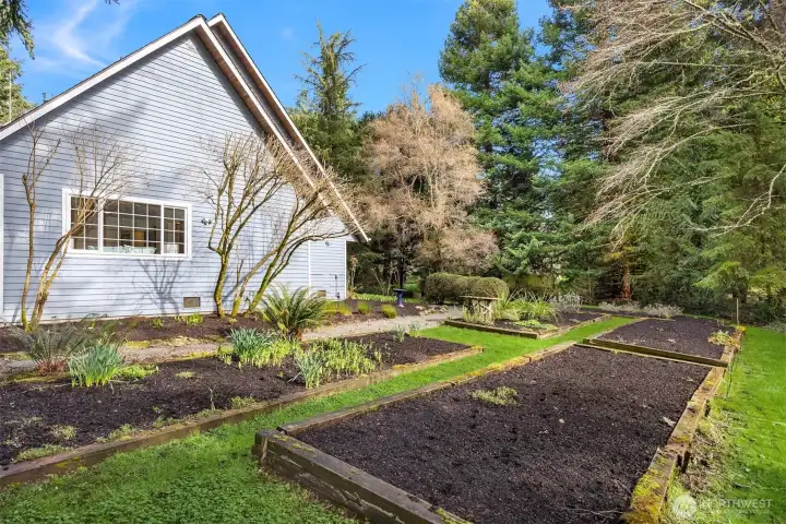 Side Yard Garden Beds