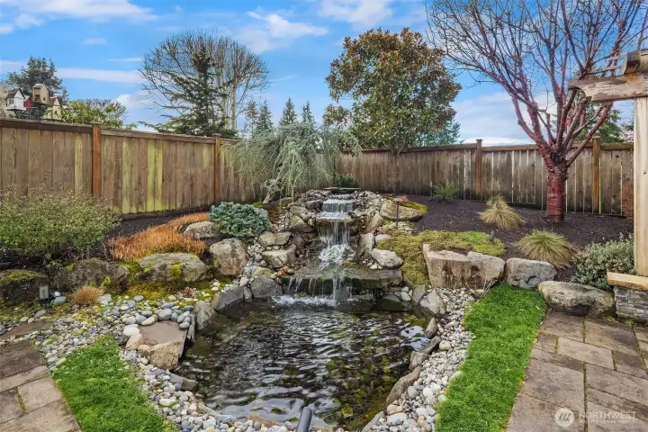 Backyard Water Feature