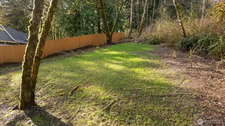 Views of the back of the property....your own park!