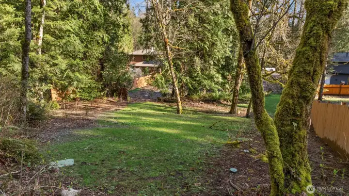 Views from the back part of the property looking towards house (behind the trees).