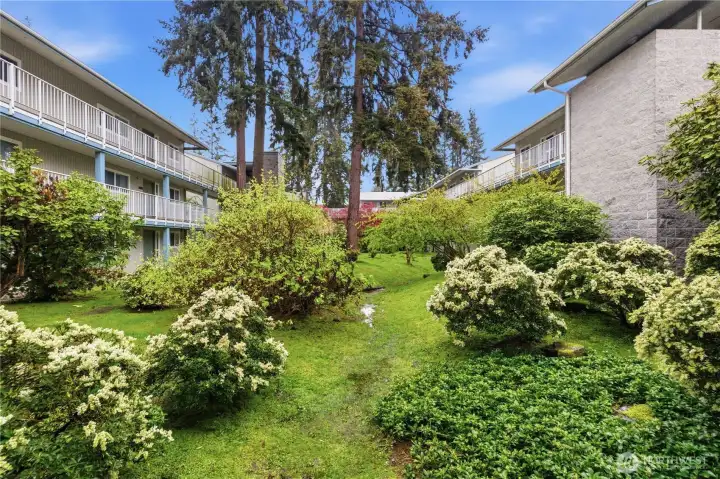 Something always in bloom.