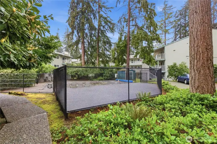 Yes, the pool will open.