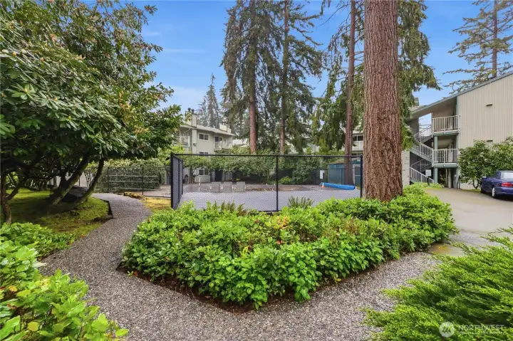 Bring some friends for a swim.