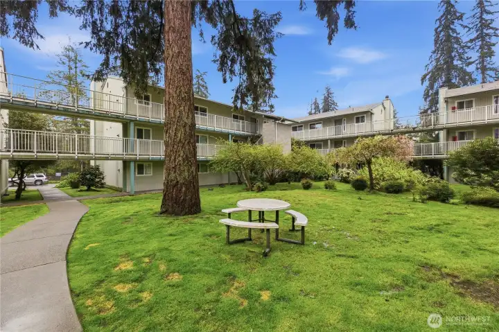 Enjoy your picnic lunch here.