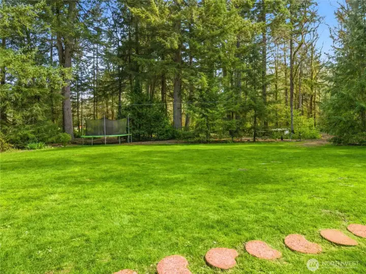 Large back yard, with lush green grass. Ready for backyard fun.