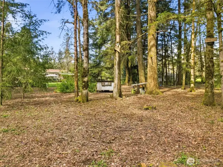 This 6.4 acres gives room for you to grow.  Space for chickens, goats, you name it.