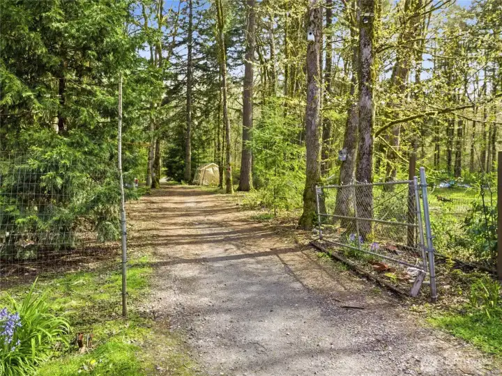 Road guides you through the expansive acreage leading to the firepit in the peaceful clearing at the back of the property.