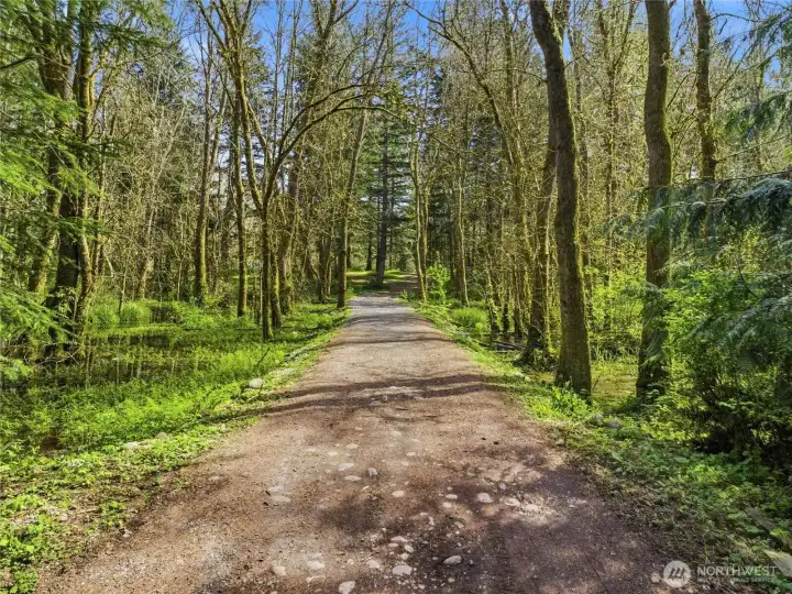 Wander through your own piece of nature adventure.