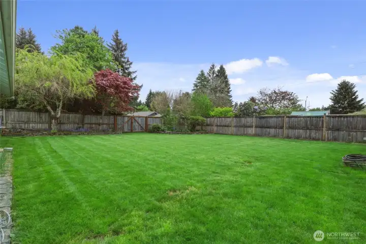 Fully fenced in beautiful backyard for your pets.