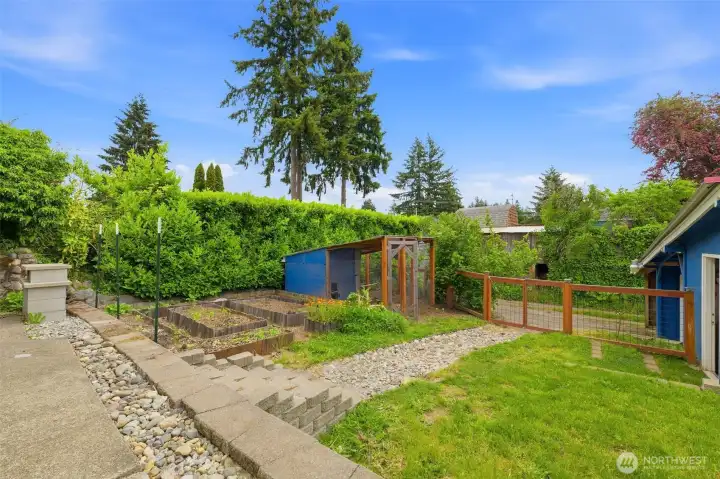 Large backyard, property is almost fully fenced.