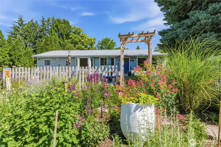 Inviting yard