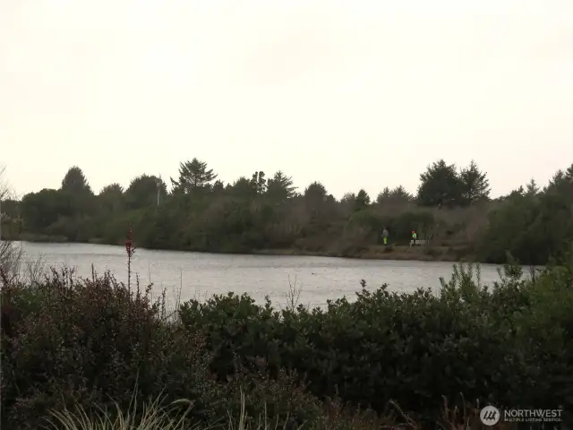 VIEW OF PERKINS POND FROM THE HOME WHERE YOU CAN WATCH MIGRATING WATER FOWL!