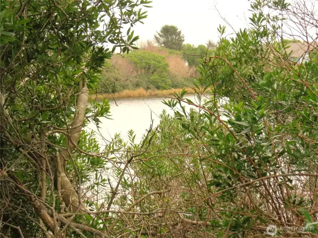 ENJOY THE TREES, DUCKS AND ANIMALS DURING THE PLEASANT TRIP!