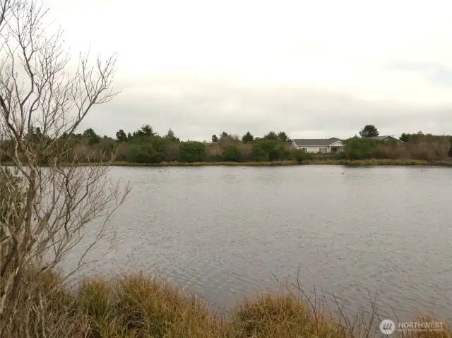 WATER FOWL ENJOY LANDING ON PERKINS POND!  THE HOME IN THE BACK GROUND IS THE HOME ON CASCADE!
