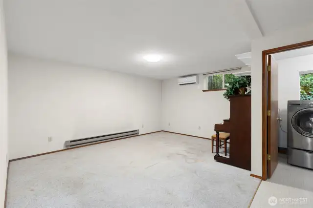 Lower level family room
