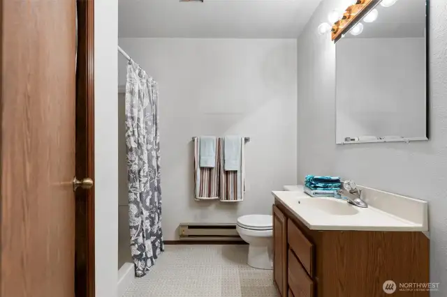 Lower level 3/4 bath