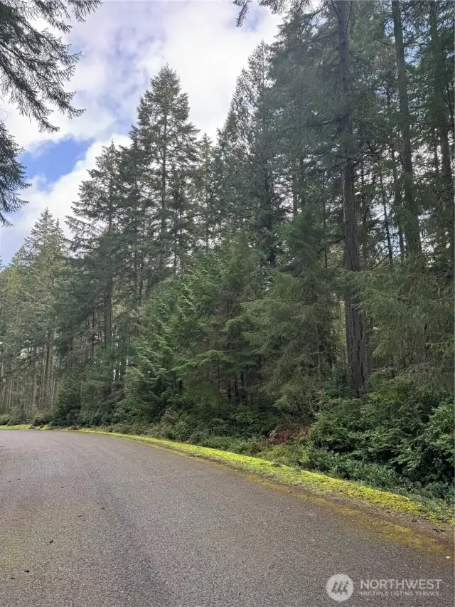 Looking North at Property