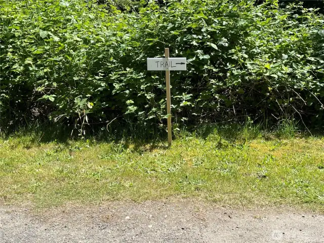 Walk down the driveway to the Lot C