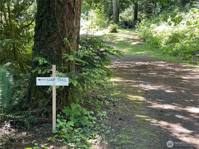 Loop trail for Lot B starts at the south property line of Lot C