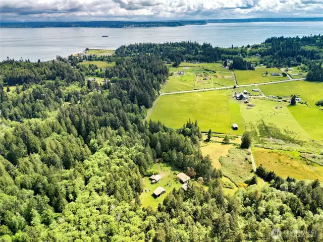 The compound is at the bottom of the photo, bordered on the east and south by farms and across Hansville Rd. vineyards.  Whidbey Island is in the background left, the mainland on the right.