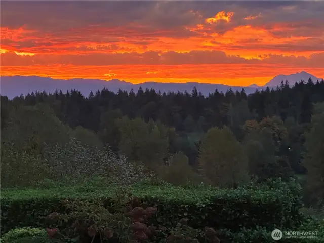 Good morning!