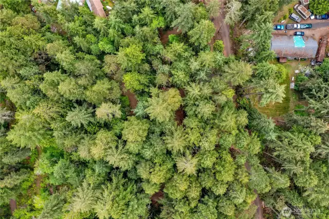 Lot 1 aerial