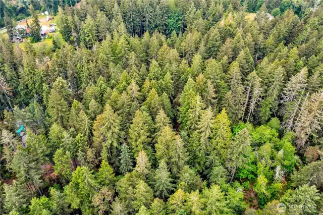 Lot 1 aerial