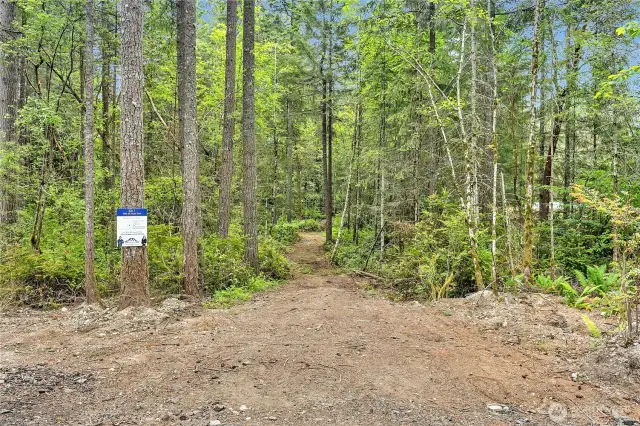 Lot 1