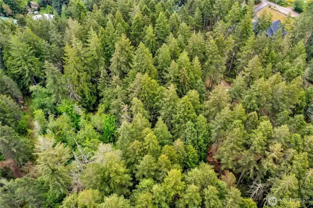 Lot 2 aerial