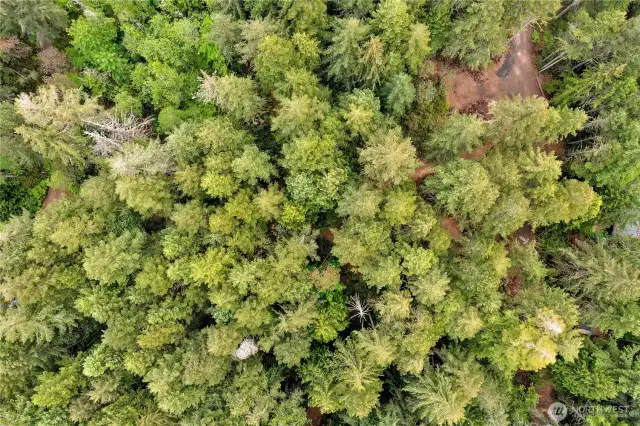 Lot 3 aerial