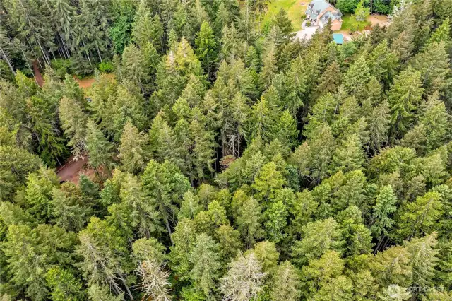 Lot 3 aerial