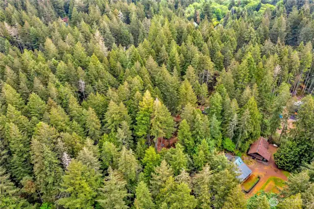 Lot 3 and lot 4 aerial
