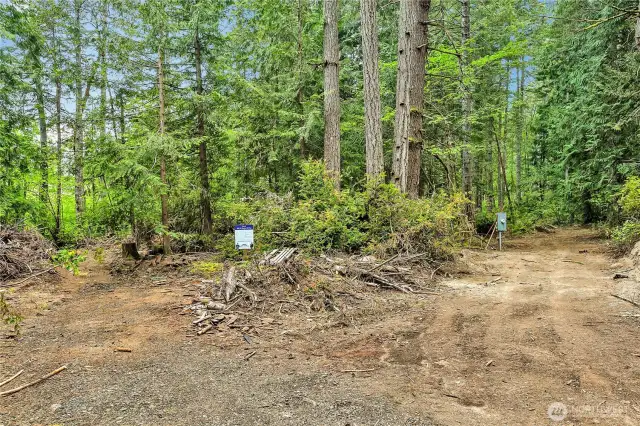 Lot 4