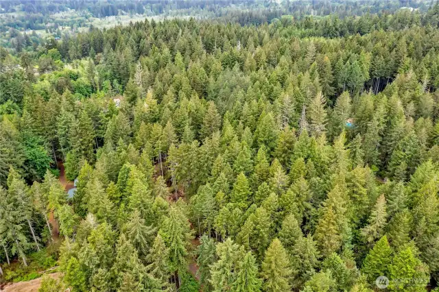 Aerial from Lot 4 to Lot 1