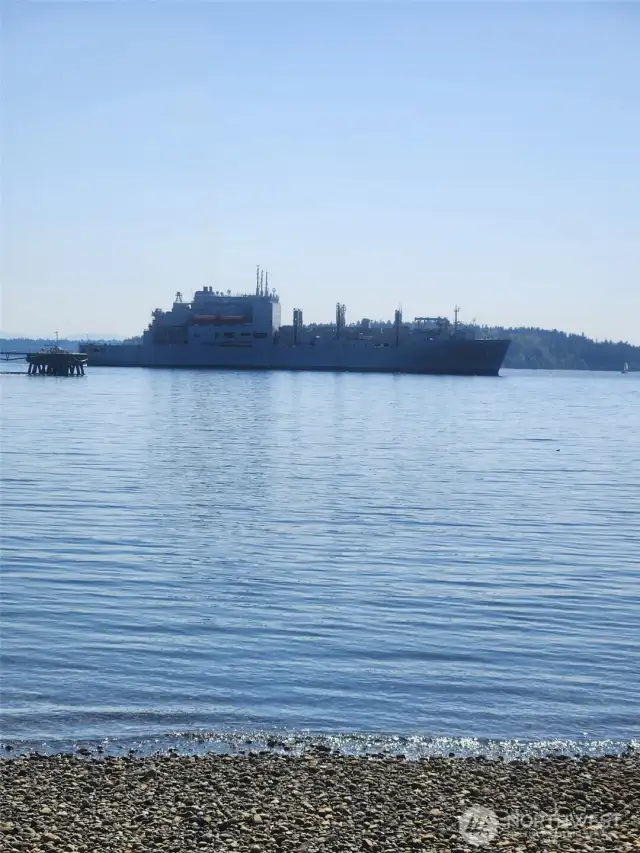 Vessels of all kinds pass through these waters. Navy ships, cargo ships, ferry boats, sailboats, tug boats and more!