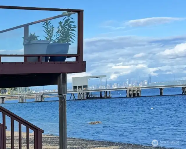 Seattle Skyline from the side yard area. Seriously, there are views from nearly every angle at this property!!