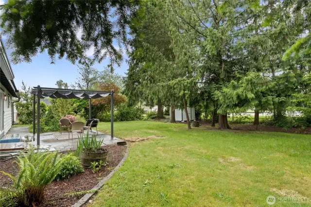 Large Lot