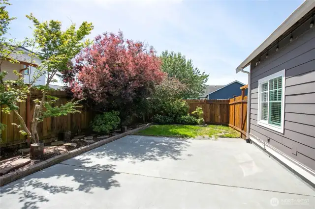 Fenced backyard area