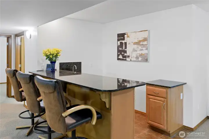 Wet bar with slab counter.  Bedroom #4 and 3/4 bath are the two doors to the left.