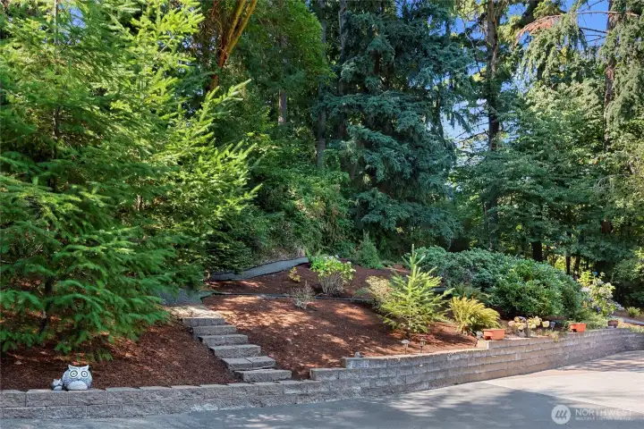 Front yard entry landscaping.