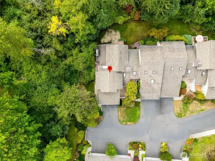 Bird’s-eye: your home in the forest.
