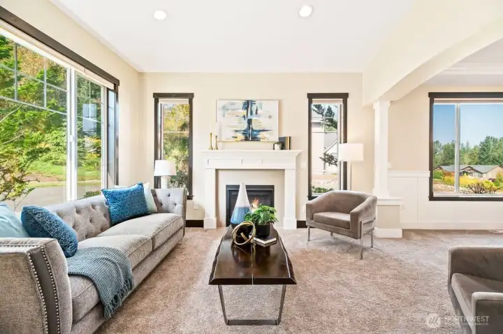 Gas fireplace