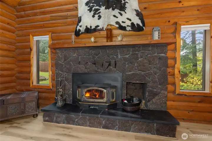 Wood Burning Stove