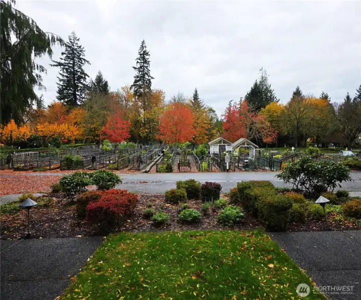 Autumn scenery is the backdrop of the Individual garden plots