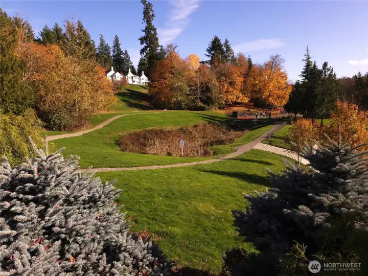 Some of the walking paths.  These paths lead to the pickleball / tennis courts