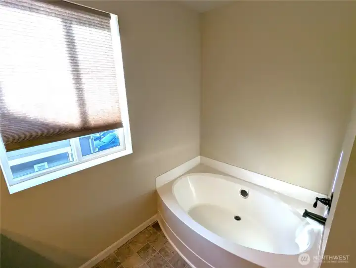 Soaking tub in master bath